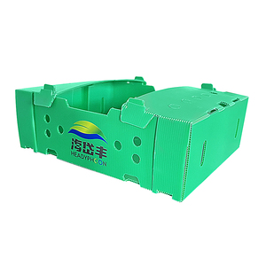 Coroplast en plastique pour fruits en plastique, corail, <span class=keywords><strong>cerise</strong></span>, pour pomme rai - Product Image 1