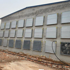 <span class=keywords><strong>Poulailler</strong></span> commercial en acier de type H Cage de batterie de volaille neuve d'occasion pour <span class=keywords><strong>poules</strong></span> pondeuses disponible à la vente en Algérie - Product Image 6