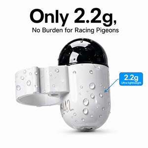Anillo de Rastreo GPS para Palomas, Recargable, Resistente al Agua IP67, con Material Plástico LBS, Carga Magnética, para Vuelos Prolongados al Aire Libre - Product Image 2