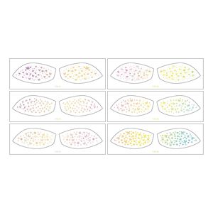 Pegatinas de sombra de ojos doradas y plateadas con efecto de pecas, estampado en caliente, impermeables, a prueba de sudor, accesorios de maquillaje para fiestas - Product Image 4