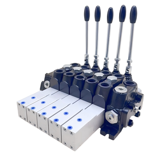Válvula de Control Direccional Hidráulica Seccional Bidireccional de 5 Bobinas y 100L/min |   Fabricante Directo de Fábrica y OEM/ODM 315 Bar - Product Image 1