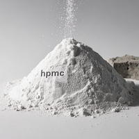 Hydroxypropylméthylcellulose HPMC 200000 Mpa Tylose Ginshicel Barucell Methocel Nitrosol Ether Shandong Pureté 99% Peinture