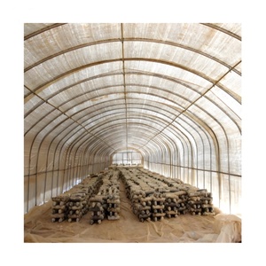 Système automatisé <span class=keywords><strong>de</strong></span> <span class=keywords><strong>culture</strong></span> <span class=keywords><strong>de</strong></span> champignons avec ensachage <span class=keywords><strong>de</strong></span> substrat, contrôle climatique <span class=keywords><strong>et</strong></span> tunnel serre pour kit <span class=keywords><strong>de</strong></span> <span class=keywords><strong>culture</strong></span> verticale - Product Image 1