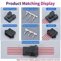 Connecteur mâle-femelle SM 2P3C 4 broches, pas de 2,54 mm, pour câble de connexion électronique de lampe