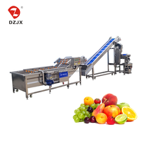 DZJX vend des lignes de production de nettoyage et de jus de fruits et légumes pour le jus de pomme, le jus d'ananas