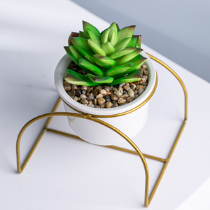 Maceta de dolomita blanca con soporte de Metal y plantas suculentas para macetas - Product Image 2