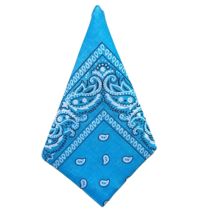 Loodvrij Grote Bandana Bandana Ontwerp Blauw Paisley Bandana