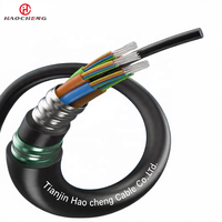 Cable Ignífugo GYTZA53 2-144C con Tubo Suelto, Reforzado con FRP, Doble Armadura, para Entierro Directo