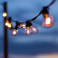 Ampoule Led G40 Guirlande Lumineuse Extérieure G40 Lampe Étanche Patio Jardin Guirlande Fée Globe Guirlande Lumineuse