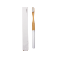 Brosse à dents en bambou écologique charbon de bois biodégradable non toxique peinture couleur manche rond brosse à dents pour adulte