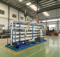 Sistema de Tratamiento de Agua por Ósmosis Inversa Industrial de 500 LPH, Planta de Purificación de Agua Pura de 0.5 T/H para Alimentos/Bebidas/Hoteles
