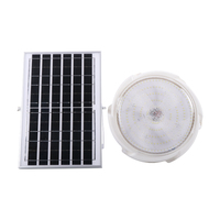 Lampe de plafond solaire d'intérieur Portable 50w, vente en gros, économique