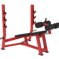 Chaise de Fitness à domicile multifonctionnelle professionnelle tabouret d'haltère en acier équipement d'entraînement en pente vers le haut exercices d'épaule hommes