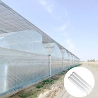 Bâche en polyéthylène double couche à haute diffusion pour tunnels de culture verticale haute densité
