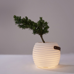 Multi-function bucket speaker led lamp plastic smart flower pot with light vase