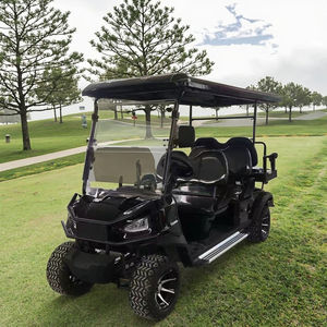 Voiturette de golf électrique compacte pratique pour la vente en gros, certifiée DOT CE GCC EEC pour les routes non publiques - Product Image 1