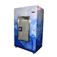 Congélateur vitrine à porte simple personnalisé, refroidissement par ventilateur, en acier inoxydable, 5 étoiles, à faible consommation d'énergie, pour usage commercial intérieur