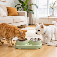 Mangeoire inclinée pour chiens et chats, angle de 15 degrés, pour petits chiens et chatons, alimentation quotidienne avec bols amovibles en acier inoxydable, gris