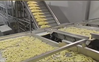 Volledig automatische elektrische verwarmingslijn voor continue productie van frieten, 1000 kg/uur, met mixer en friteuse, roestvrij staal, fabrieks prijs