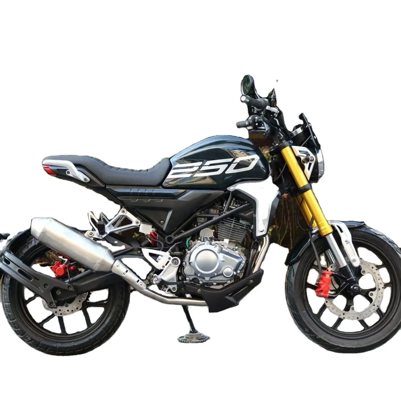 250cc सड़क मोटरसाइकिल क्लासिक डिजाइन RE250CC loncin इंजन