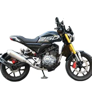 250cc sokak motosiklet klasik tasarım RE250CC loncin motor