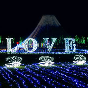Walk Through Christmas Tunnel Lights for Park and Shopping Mall Decoration - Product Image 1