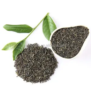 Te Verde 4011 Manufacturers Directly Bulk Tea Processing OEM Supply Wholesale China Gunpowder Green Tea
