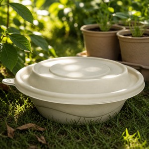 Conteneur alimentaire jetable en amidon de maïs respectueux de l'environnement avec couvercle, boîte à repas compostable pour la restauration, vente en gros - Product Image 6