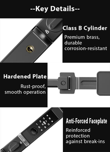 Fully Automatic Smart Shutter Door <b>Lock</b> Fingerprint Password <b>Digital</b> Horizontal Bolt <b>Lock</b> with Remote Access - Product Image 6