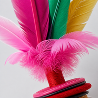 Jianzi traditionnel chinois fait main en plumes, volant tissé durable pour le sport et les jeux en plein air, idéal pour l'entraînement et les matchs.
