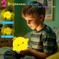 Lampe de nuit LED en forme de balle de tennis, lampe de nuit fantaisie, lampe de nuit pour chambre d'enfant, lampe tactile rechargeable pour enfants