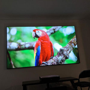 Telon 120 بوصة 4k الحيوانات الأليفة الكريستال مكافحة ضوء المحيطة رفض الليزر ALR المنزل مسرح سينما ضوء النهار إطار ثابت شاشة العرض - Product Image 1