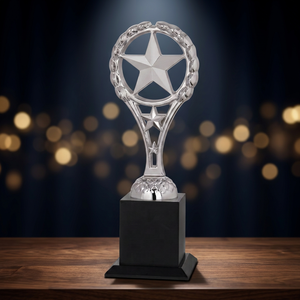 Elegante Trofeo Estrella con Placa Grabada Personalizada, Premio de Liderazgo Empresarial de Metal Fundido a Presión, Regalos Corporativos de Bienvenida - Product Image 5
