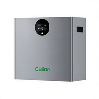 Batterie murale modulaire extensible LiFePO4 5KWh 10KWh 51.2V pour système de stockage solaire et de secours domestique complet, 6000 cycles