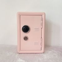 Mini coffre-fort et boîte à monnaie sécurisée, tirelire éducative pour enfants, rangement polyvalent pour objets de valeur à la maison, à l'école ou au bureau