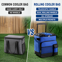 Bolsa Refrigerante con Ruedas y Aislamiento de Gran Capacidad (42L), Plegable, para Pesca, Camping, Entrega de Comida