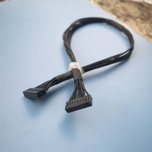 Transmisi Data Dupont 2.0Mm Kabel Kawat Hitam Kawat Harness Kabel Pita Dalam Berbagai Panjang - Product Image 4