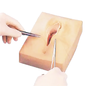 Bộ Huấn Luyện Khâu Âm Hộ Nâng Cao Dùng Cho Đào Tạo Sản Khoa Tại Trường Y - Product Image 4