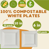 Assiette à dessert carrée en bagasse de canne à sucre blanche Petites assiettes biodégradables résistantes jetables au micro-ondes