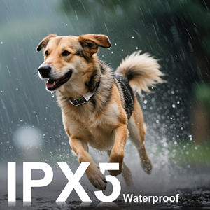 <span class=keywords><strong>Collar</strong></span> antiladridos automático de entrenamiento para perros sin golpes recargable superventas con 7 niveles de sensibilidad - Product Image 5