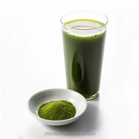 Pasokan Langsung Pabrik 100% Bubuk Teh Daun Murbei Alami Ekstrak Herbal untuk Minuman dan Campuran Teh