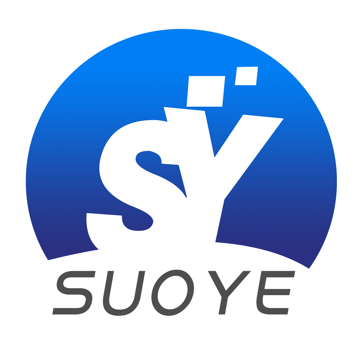 Jiangxi Shuoye Technology Co., Ltd. logo