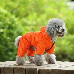 Op Maat Gemaakte Xxx Kleine Hondenkleding Winter Hond Puffer Jas Puppy Trainer Wandeljack Warm Verwarmd Hondenjas Winterjas - Product Image 1