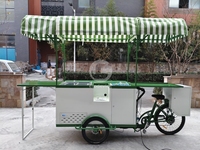 Chariot de nourriture mobile de luxe, vélo de vente de café personnalisé pour la restauration et les boutiques éphémères
