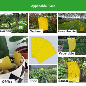 100 pièces/paquet - Piège à insectes jaune de petite taille 10x20cm, colle non toxique pour <span class=keywords><strong>plantes</strong></span> d'intérieur, jardin domestique, lutte antiparasitaire - Product Image 6