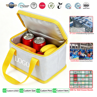 Sac Isotherme Personnalisable pour 6 Canettes, Sac Repas Portable en Nylon avec Poignée pour Enfants et École