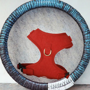 <span class=keywords><strong>Harness</strong></span> Anjing Korduroi Empuk Berbahan Mesh Bernapas, Model Step-In, Mewah, Nyaman,  Logo Kustom, Karet Teddy, Stok Tersedia - Product Image 3