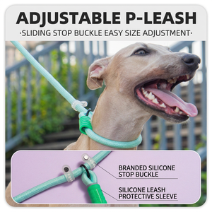 Collier de dressage pour chien en nylon réglable et durable, anti-étranglement, type P - Product Image 5