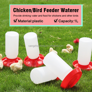 ZZ 1L Capacidad Bebé Aves de Corral Paloma Pájaro Botella Bebedero automático Alimentador de <span class=keywords><strong>pollos</strong></span> y bebedero Aves de corral - Product Image 6