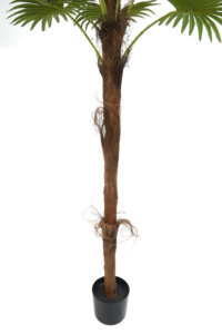 Plan artificial de plástico, tecnología uxury Pace ecor - Product Image 3